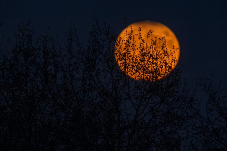 Friday the 13th Moon