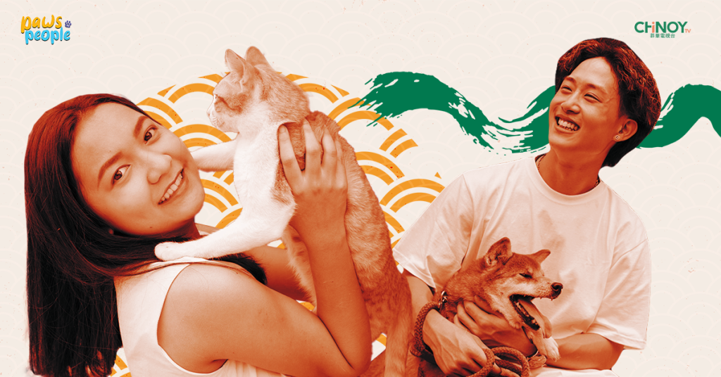 Paws n People - Article Banner
